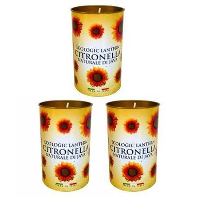 Citronella Lantern Candle Pack of 3